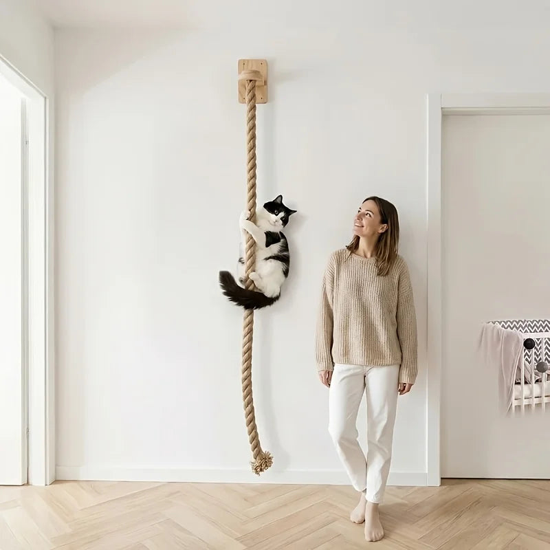 Cat Toys