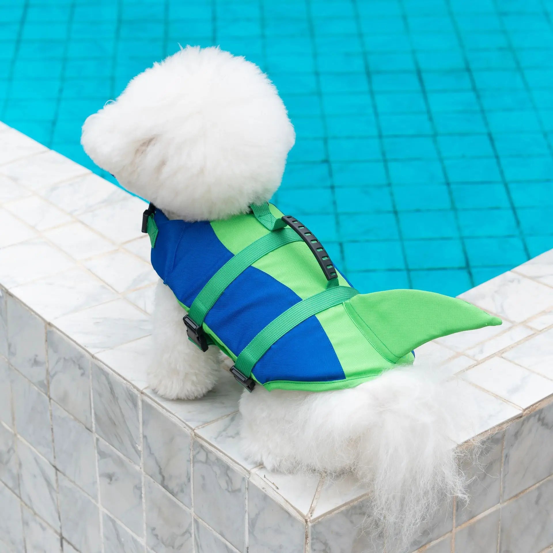 Pawvelle Adventure Dog Swim Vest