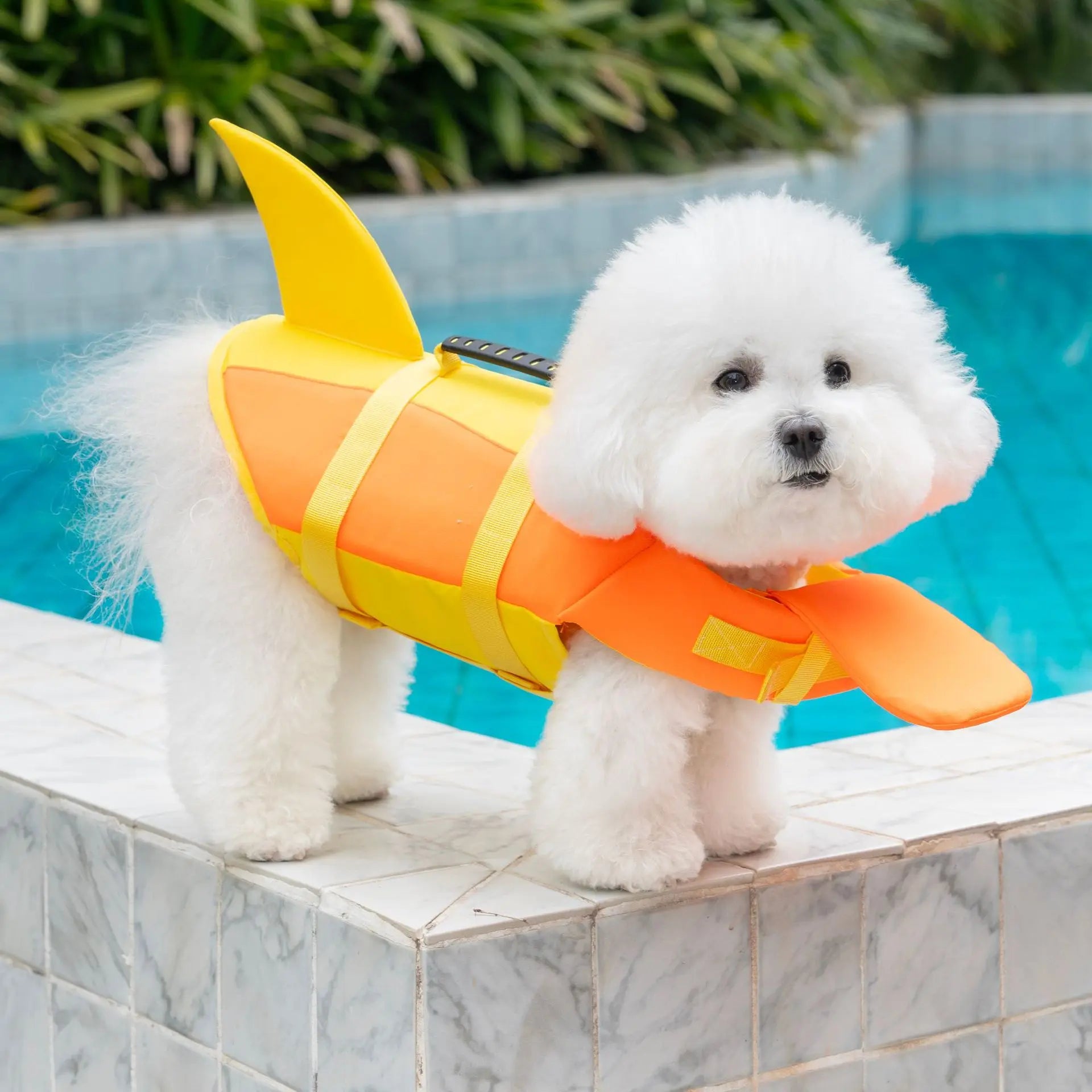 Pawvelle Adventure Dog Swim Vest