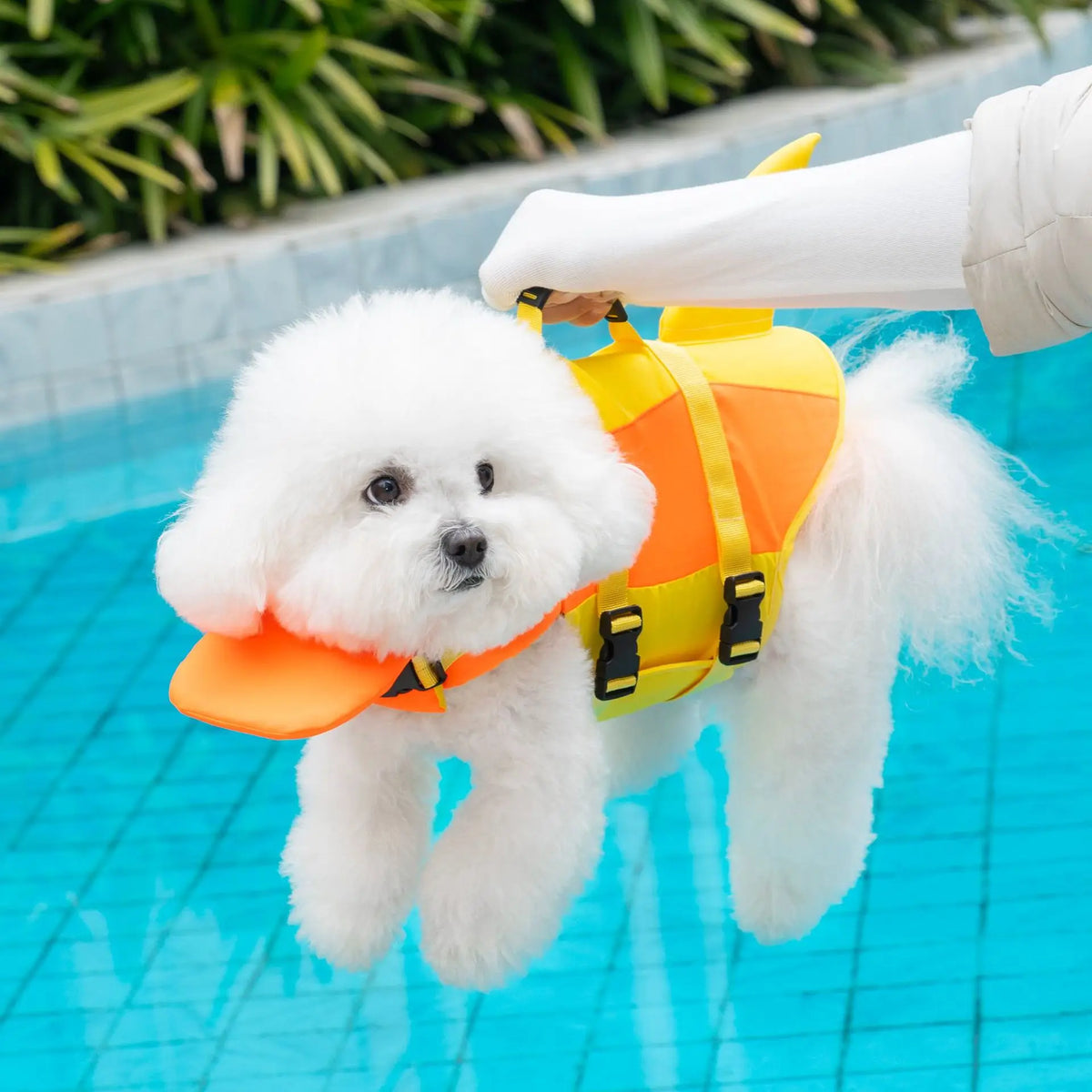Pawvelle Adventure Dog Swim Vest